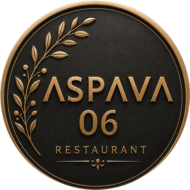 ASPAVA 06